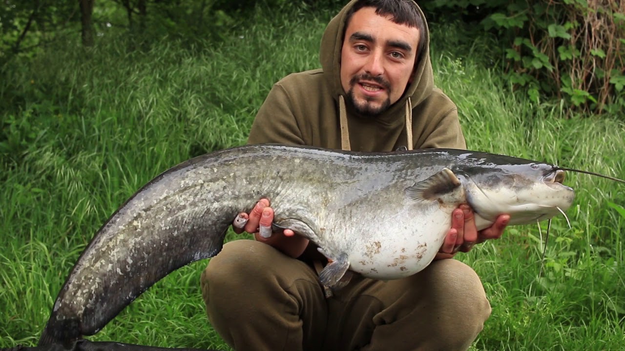 Nová voda - Tomáš  