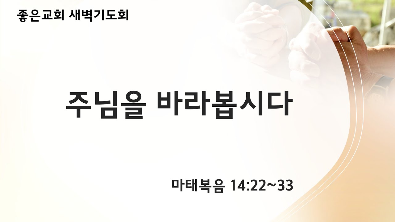 주님을 바라봅시다