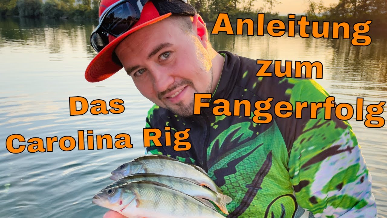 Barsch angeln mit dem Carolina Rig