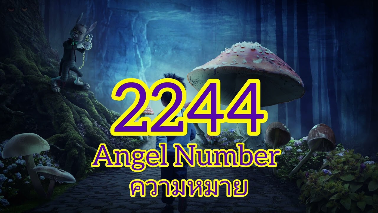 2244 Angel number เลขนางฟ้า มีความหมายอะไร#จักรวาลมาบอกอะไรคุณ#กฏจักรวาลกฏ #ครูซันนี่england