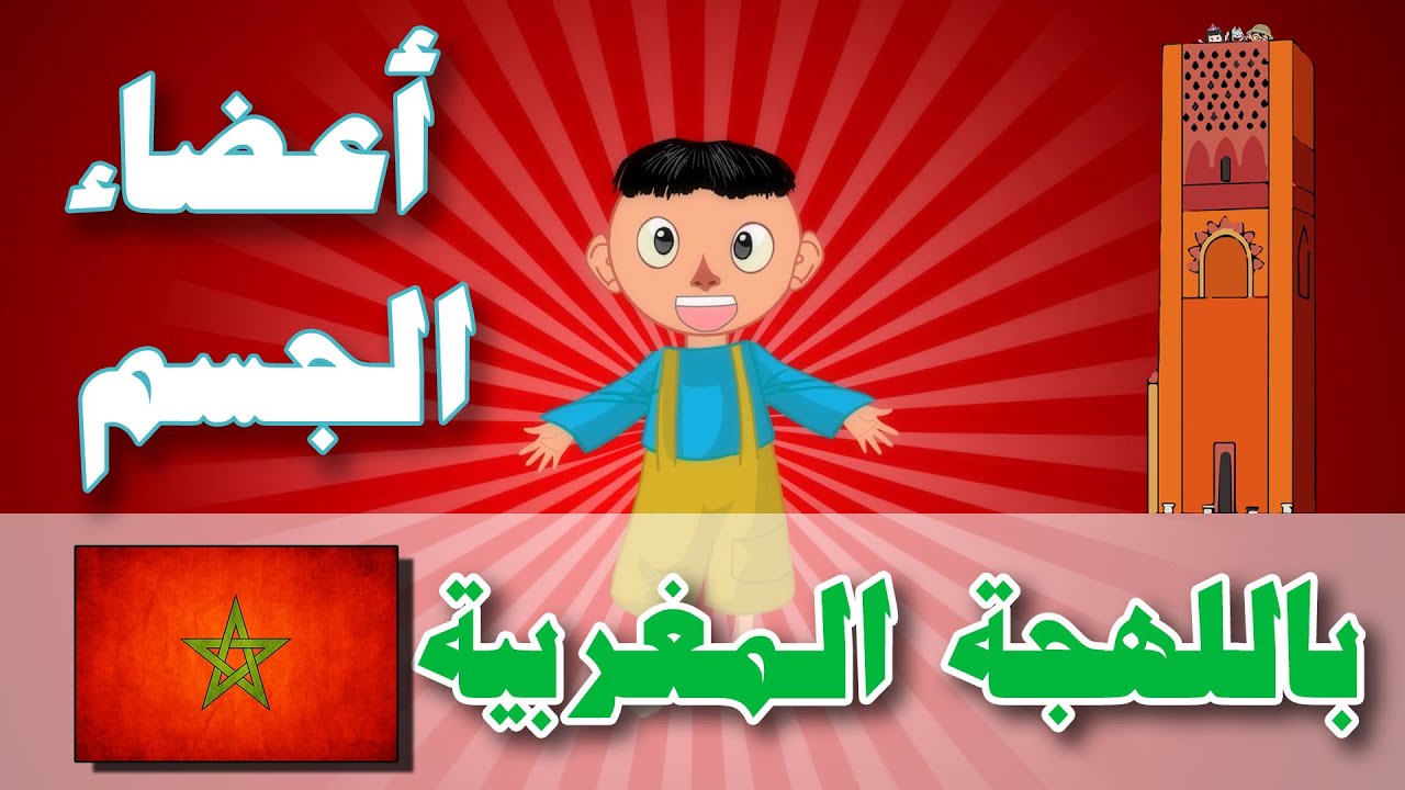 Human Body Parts in Moroccan dialect - Atfal TV | أعضاء الجسم باللهجة المغربية - أطفال تيفي