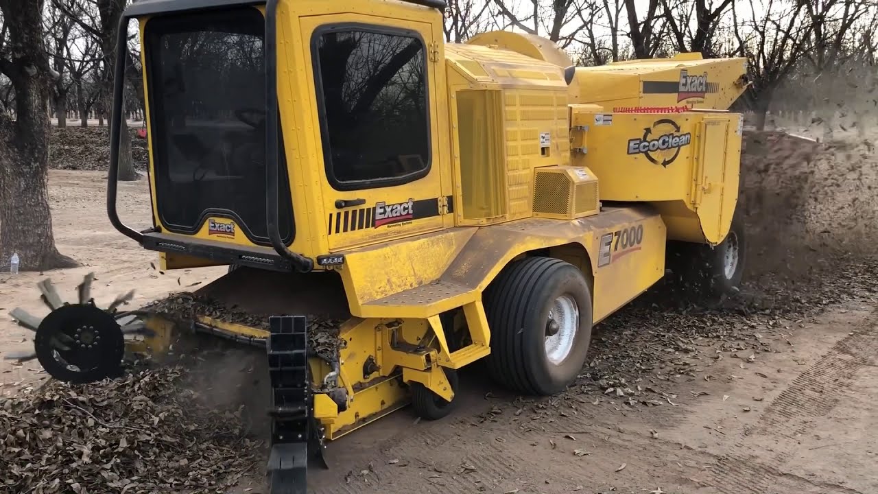 Pecan Harvest 2019