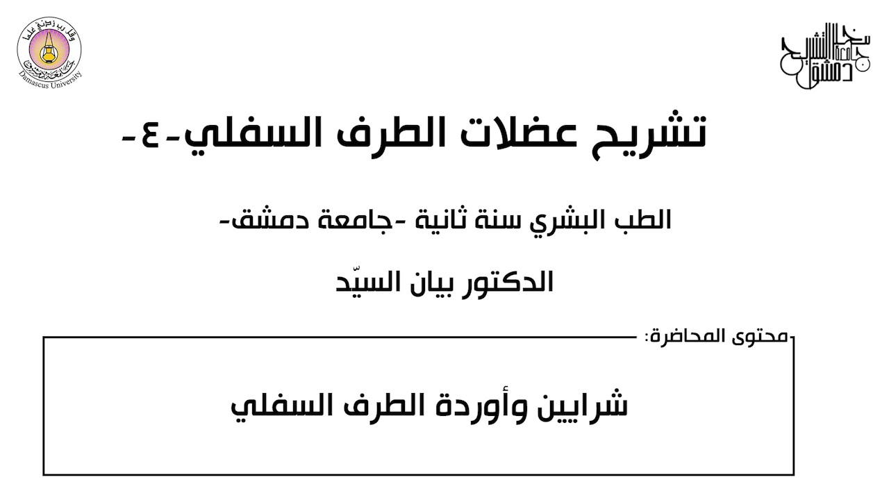 تشريح ١- شرايين وأوردة الطرف السفلي