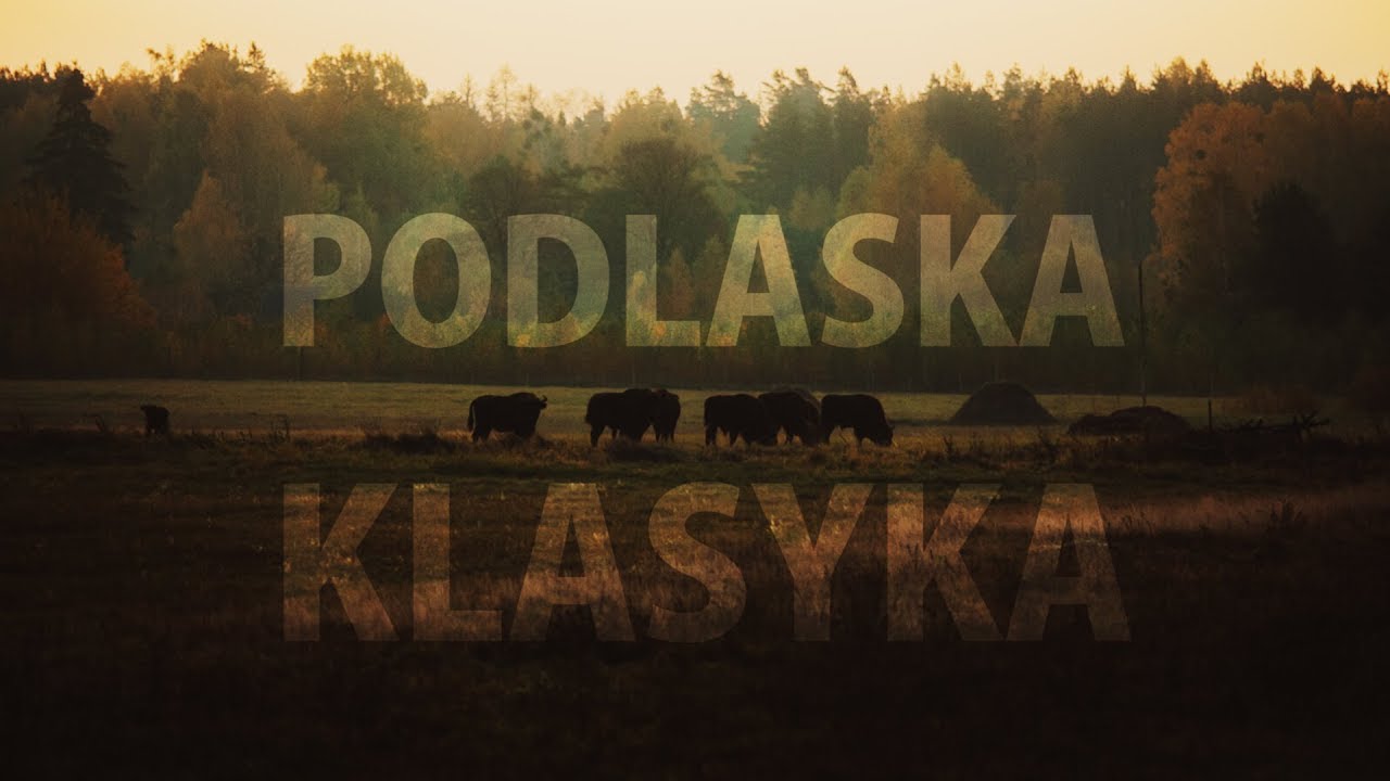 Podlaska Klasyka #vlog5