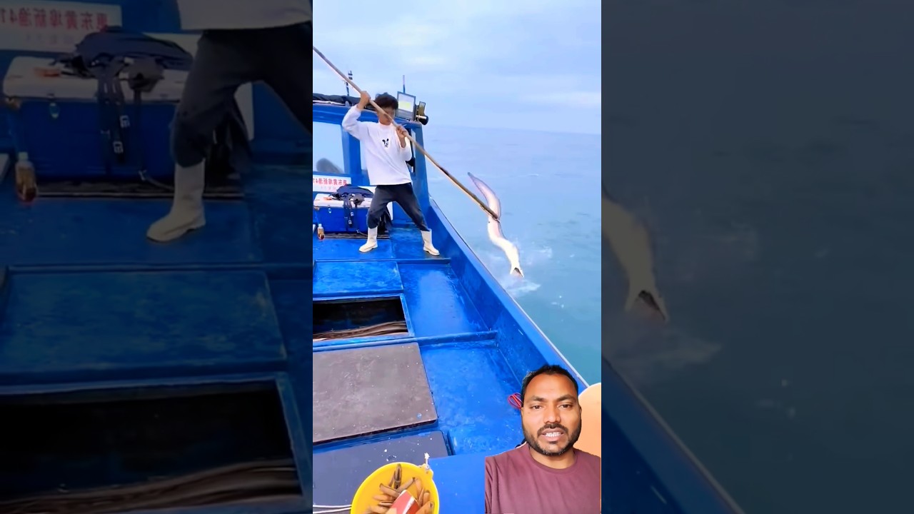 #fishing