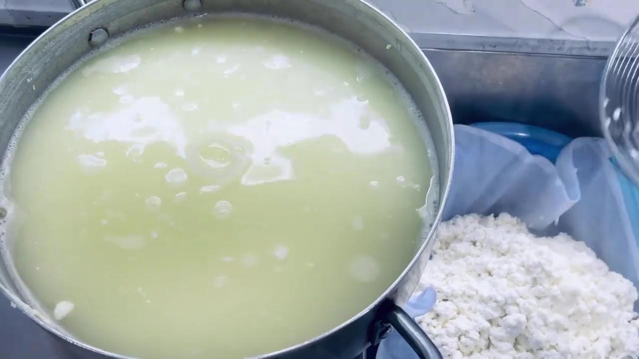 طرز تهیه پنیر خانگی بسیار راحت و آسان 🥰