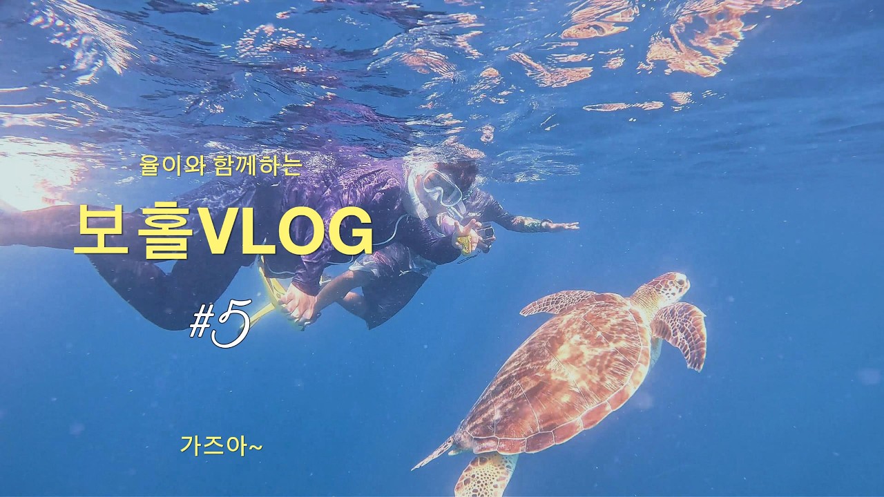 2025년 - 보홀5일차
