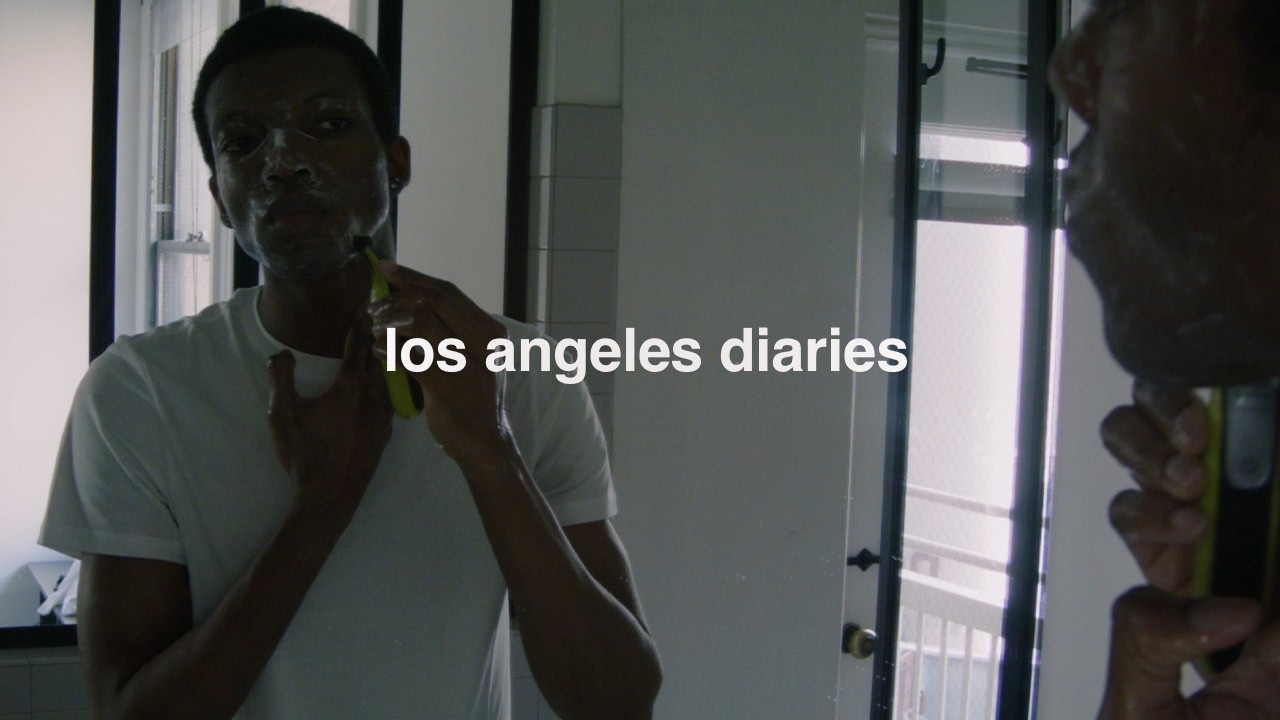 video diary of los angeles