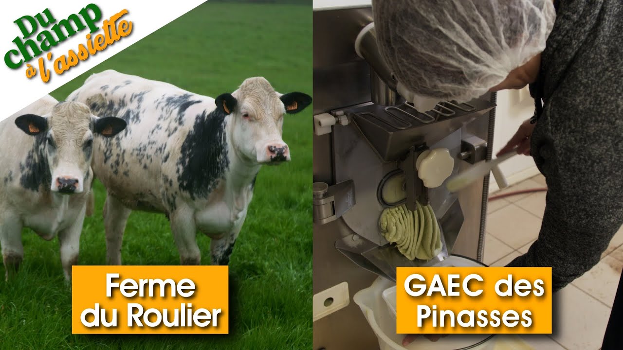 Du Champ à l'assiette : au GAEC des Pinasses et à la Ferme du Roulier
