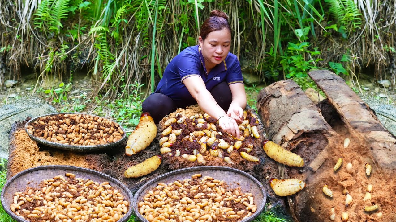 How to Harvest Giant Coconut Worms and Sell them at the Market | LTC - Free Bushcraft