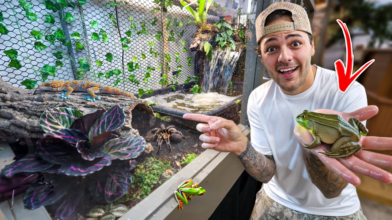 I got SURPRISED with NEW REPTILE ENCLOSURE!!