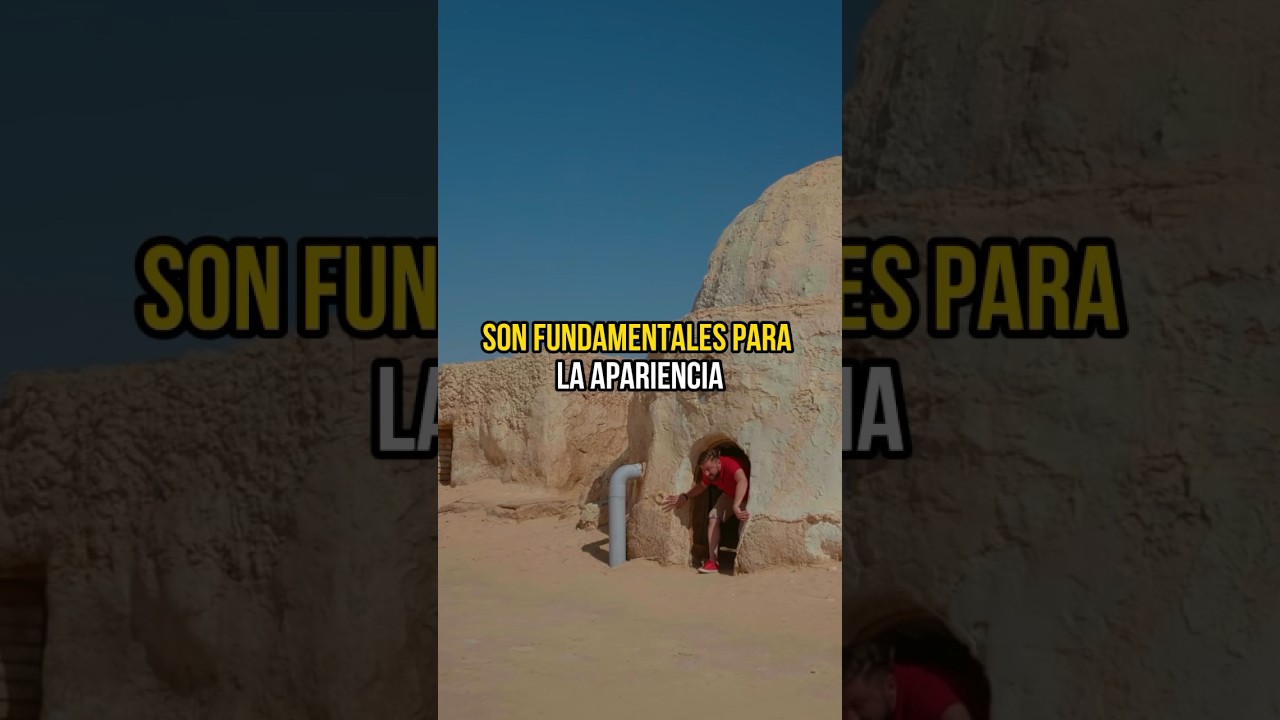 &iquest;Cu&aacute;l es el rol del director de arte? 🎬 #director #dise&ntilde;o #arte #cine #produccionaudiovisual