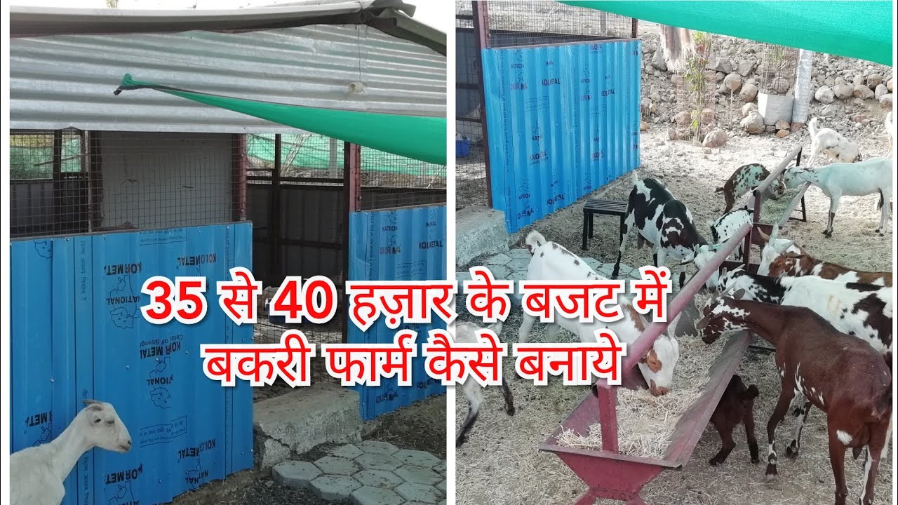 Low cost portable goat  shed!  35 से 40 हज़ार में बकरी फार्म कैसे बनाये ??