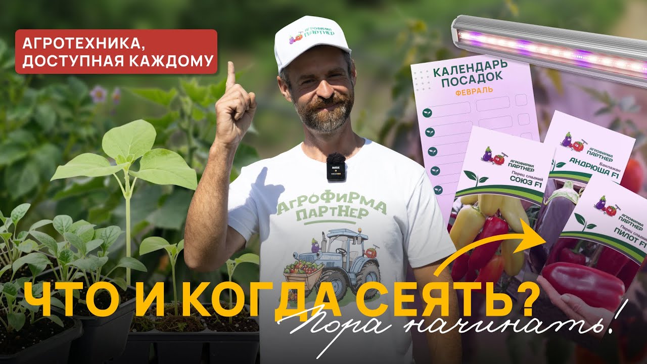 Рассада НЕ ПЕРЕРАСТЕТ: Таблица сроков посева от А до Я (Перец, Баклажан, Томаты)
