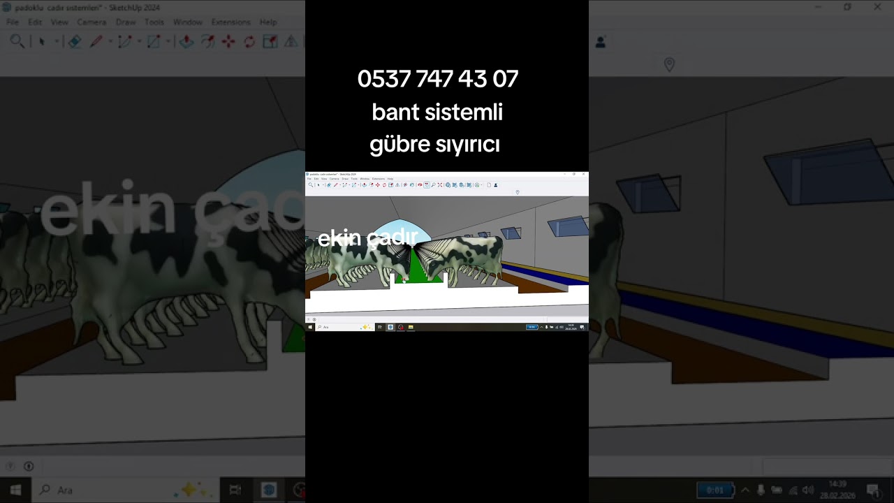 Büyükbaş 4 padoklu bant sistemli gübre sıyırıcı çadır sistemlerimiz