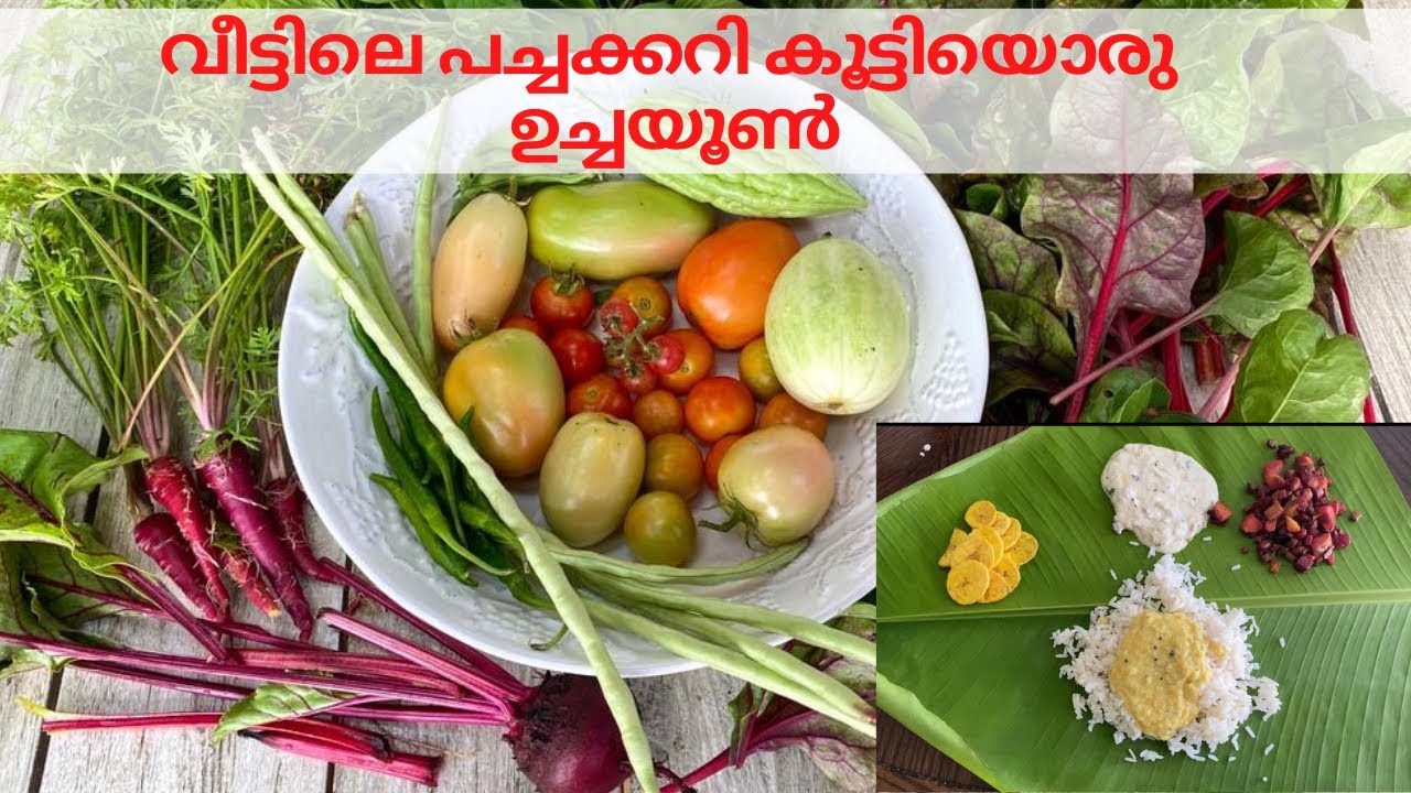 Day in My Life|Daily Vlog in Malayalam|വീട്ടിലെ പച്ചക്കറി കൂട്ടിയൊരു ഉച്ചയൂൺ|Lunch on a Working Day