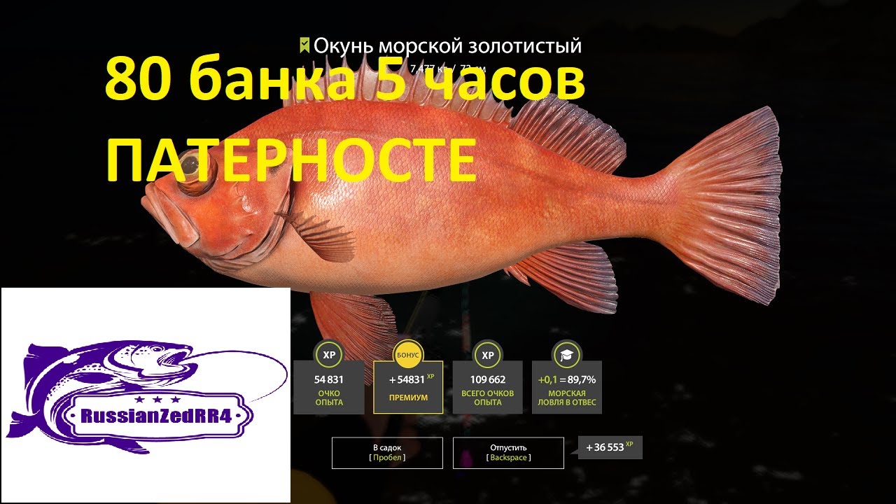 Норвежское море  Патерностер   80 банка