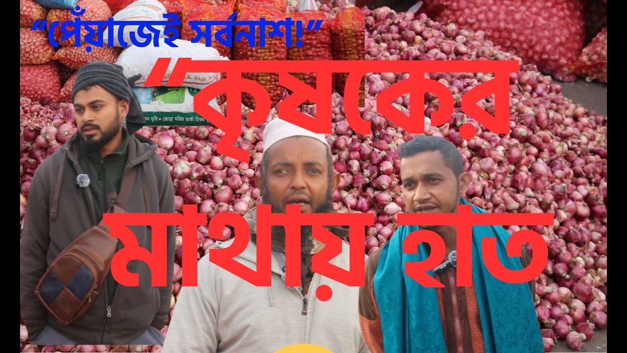 পেঁয়াজেই সর্বনাশ! প্রতিমণে ১০০–১৫০ টাকা লস, কৃষকের মাথায় হাত