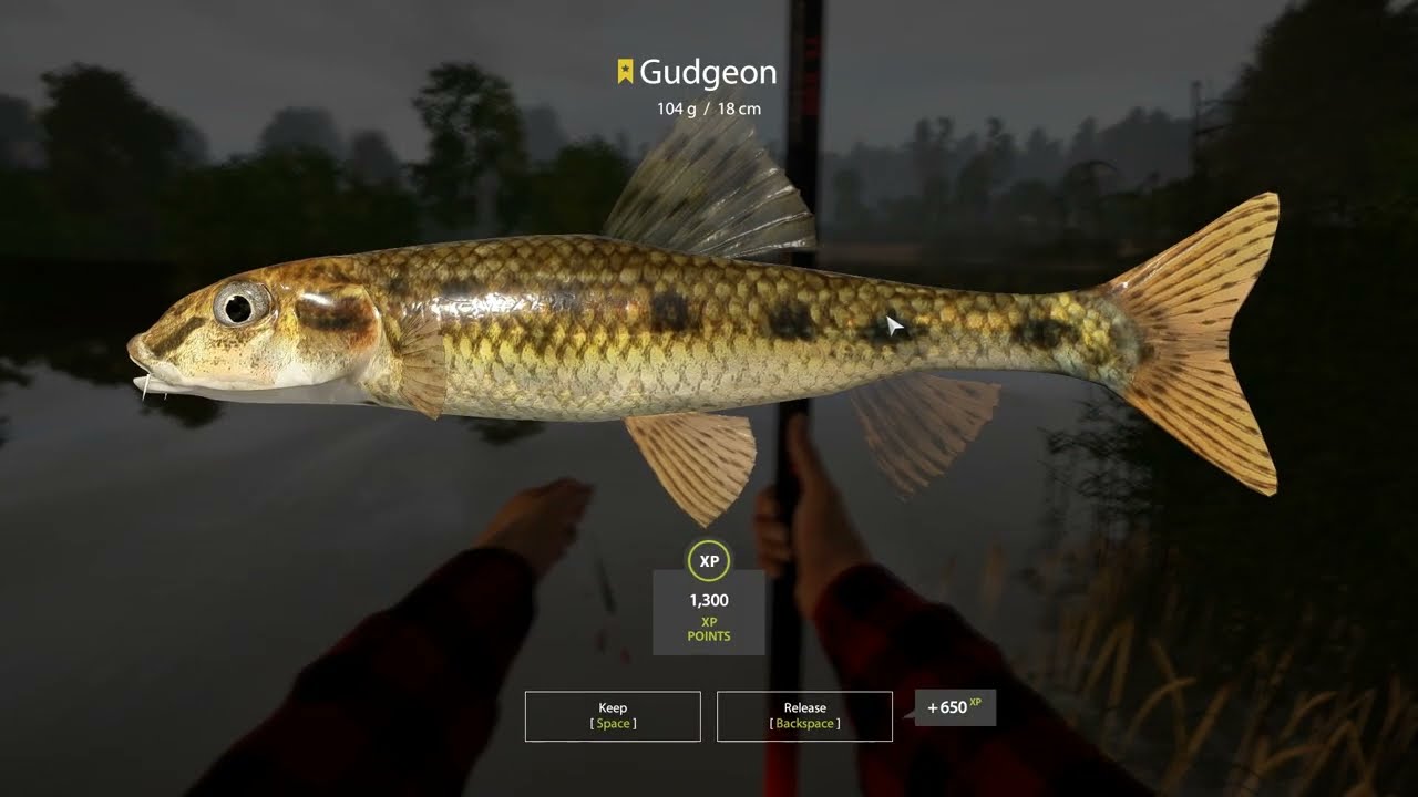 Russian Fishing 4 Winding Rivulet Gudgeon Trophy Tele