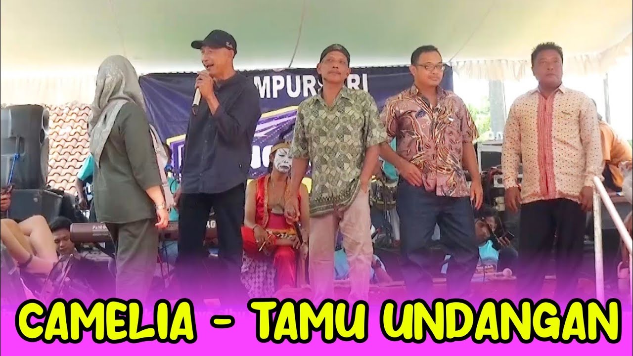 CAMELIA || CAMPURSARI ANGKASA LAMPUNG