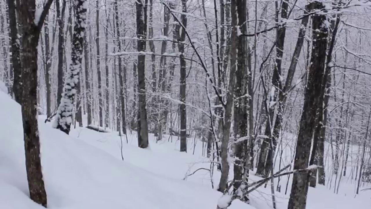 Snow Falling, 5 hrs Relaxing Music