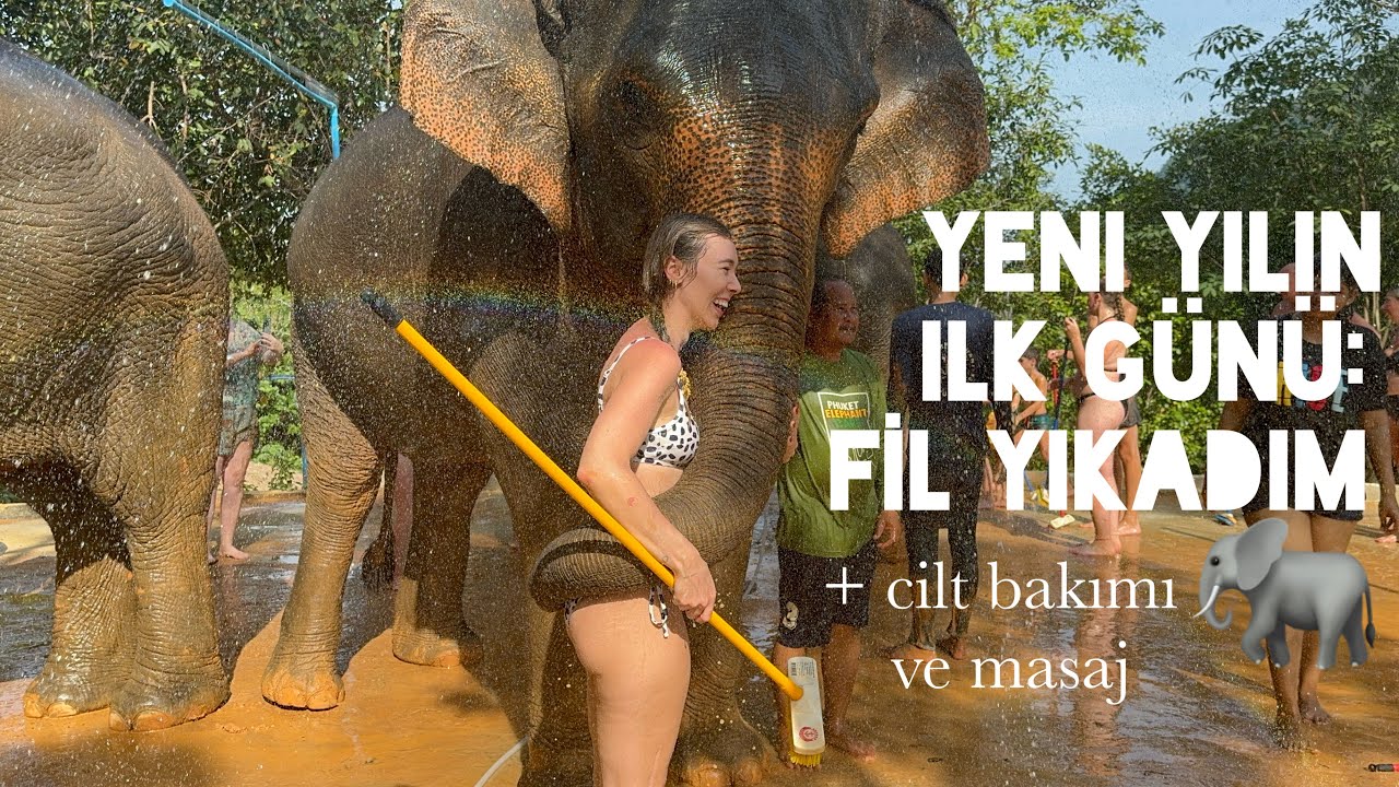 KURTARILMIŞ FİLLERİ ZİYARET | COUPLE CİLT BAKIMI, MASAJ