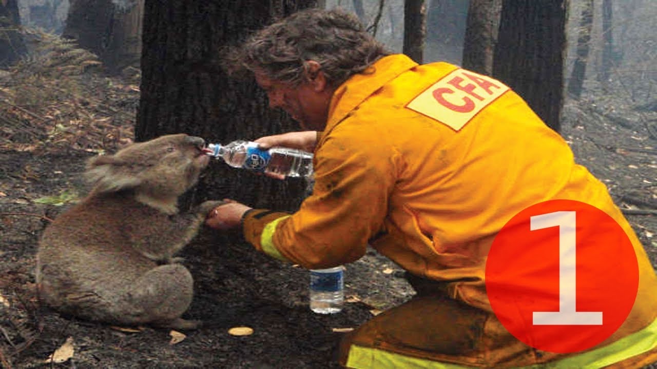 [Episode 1] Restore your faith in humanity in 5 stopovers.