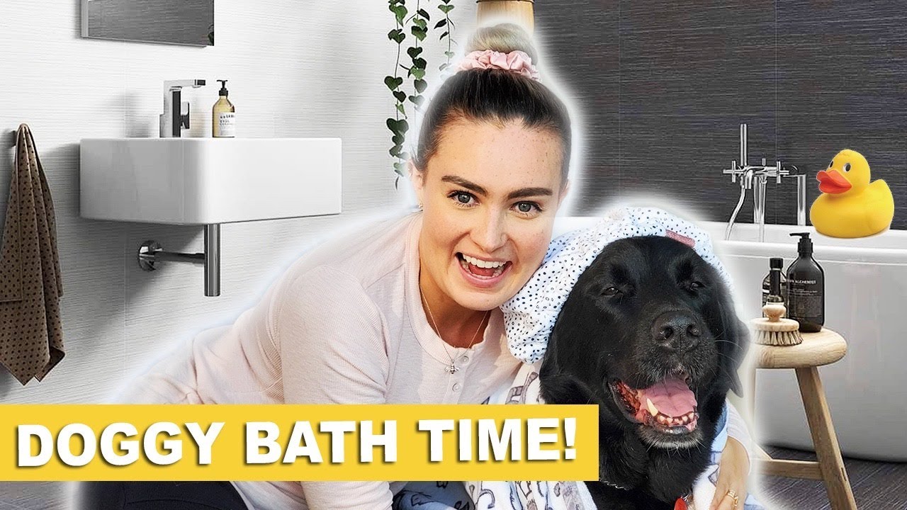 I Tried to Give My Guide Dog A Bath at Home! #stayhome #withme