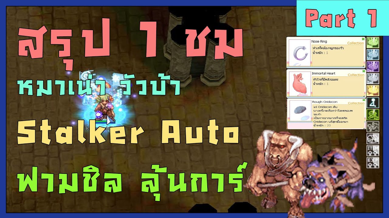 Part 1 // Stalker Auto Steal [สายมีด] 1 Hr. หมา วัว ฟามชิล รายได้ดี // Ragnarok Classic ROC Gravity