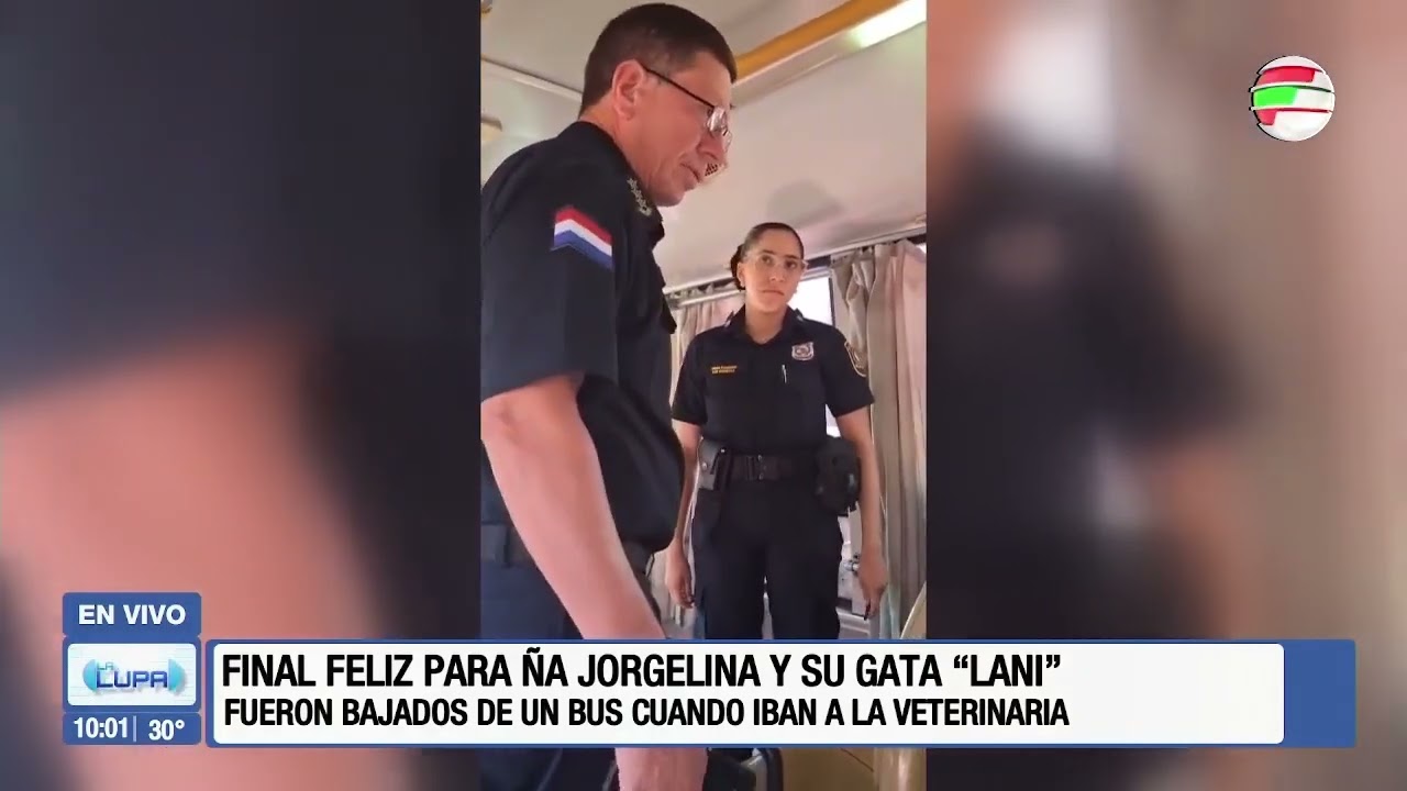 Final feliz para la gata y su dueña obligadas a bajar de un bus