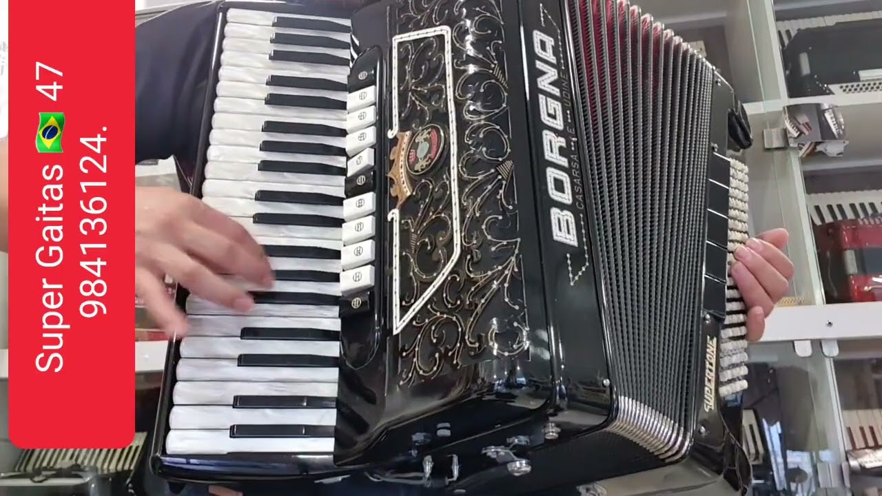🍀5°Sorteio . ACORDEON BORGNA - FABRICAÇÃO GUERRINI