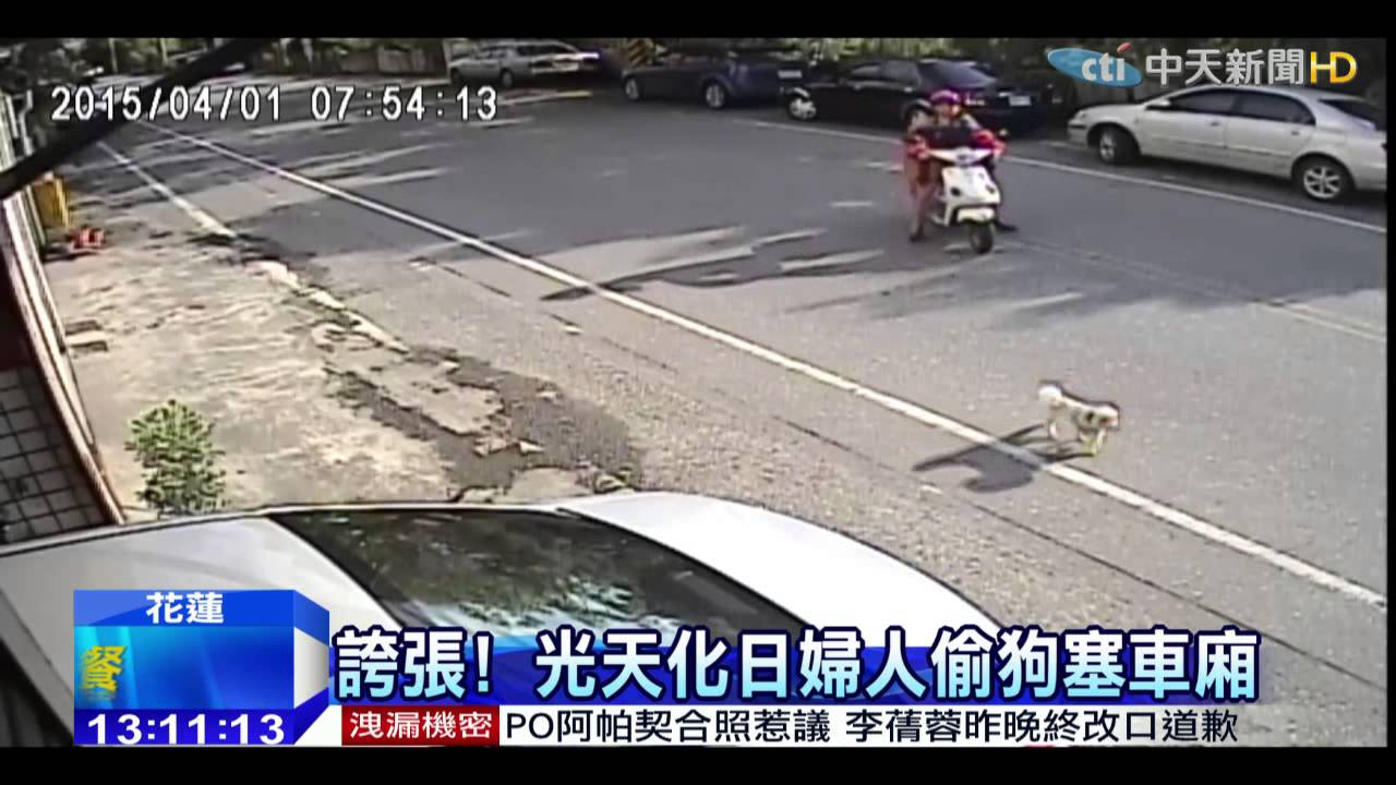 20150403中天新聞　誇張！　光天化日婦人偷狗塞車廂