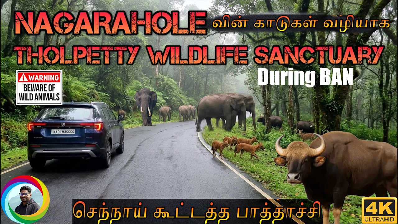 ⚠️🔥 மிரட்டலான காட்டு பயணம் 😱 Nagarahole to Tholpetty Thrill Forest Drive🔥