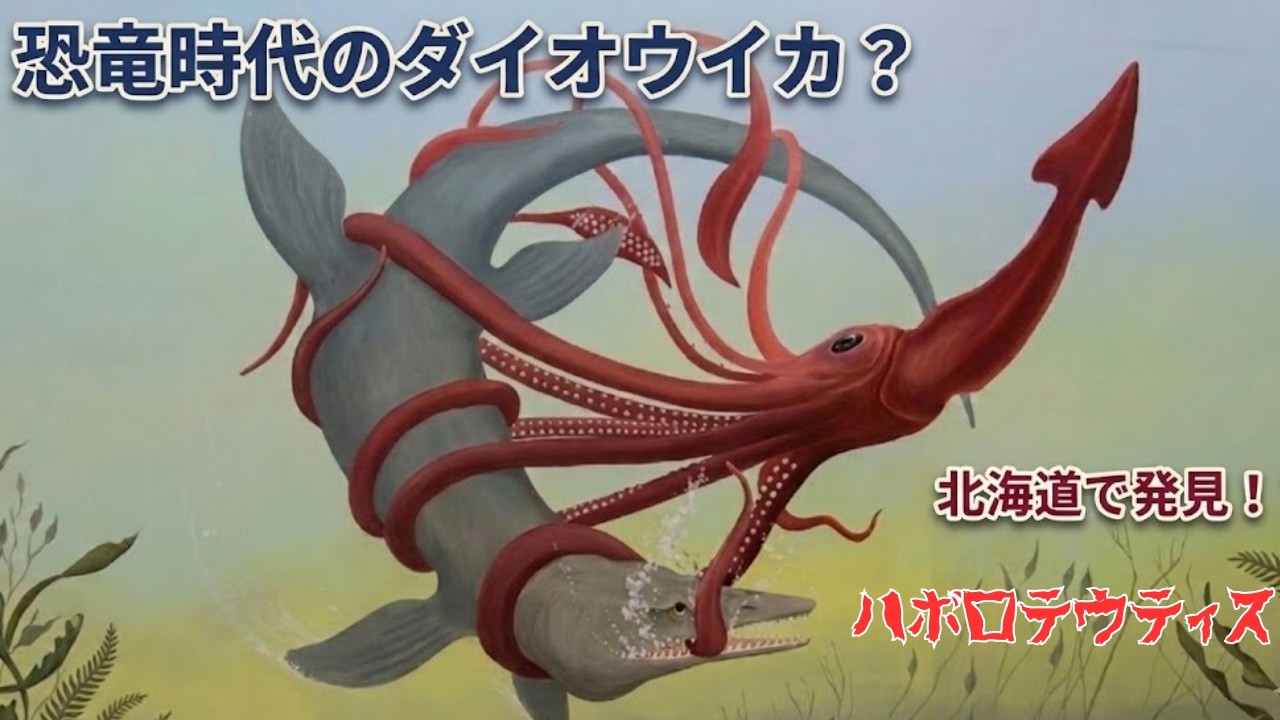 恐竜時代の海に巨大イカ？北海道で発見されたハボロテウティスとは何者か【ゆっくり解説】
