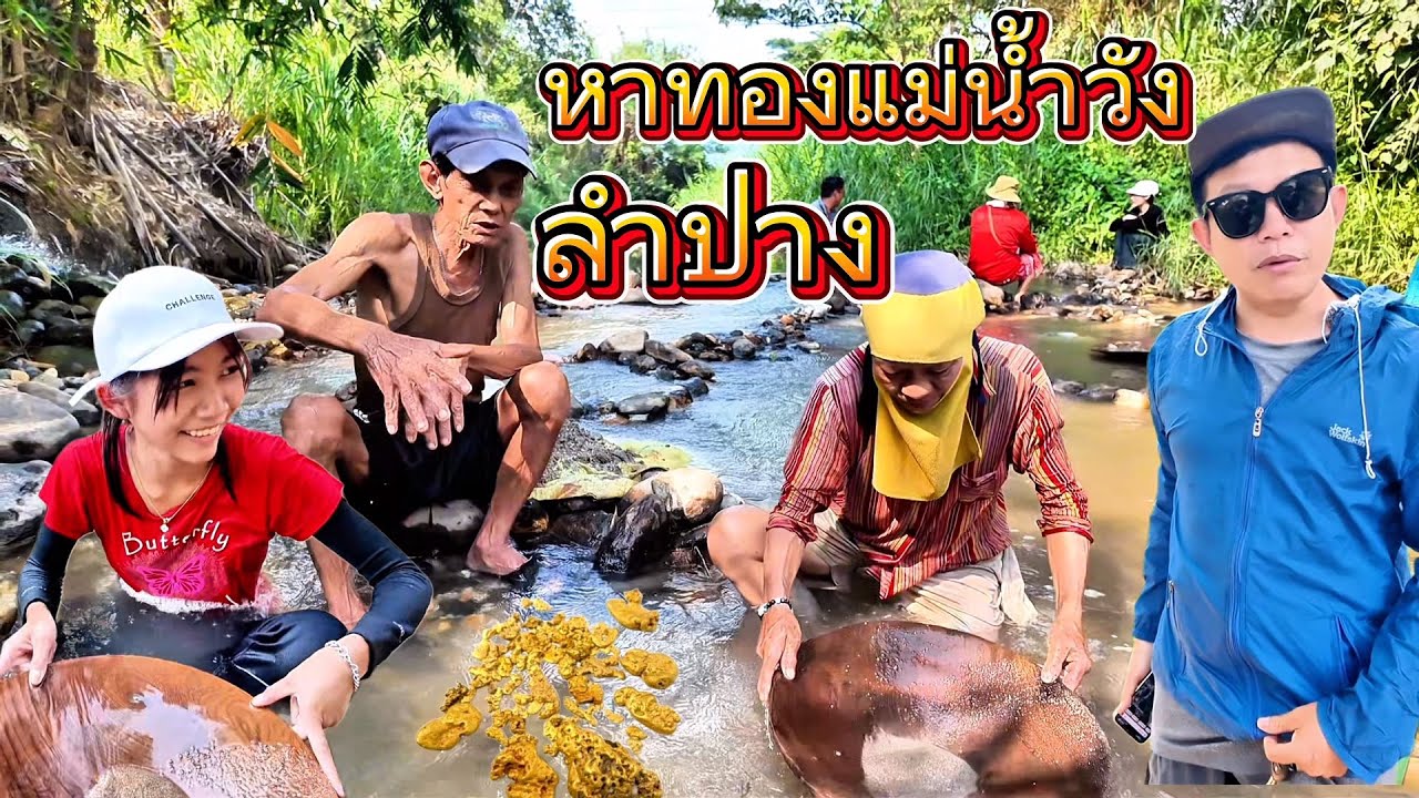 ค้นหาสายแร่ทองคำในแม่น้ำวังจังหวัดลำปาง ￼ ร่อนทองแม่น้ำวัง