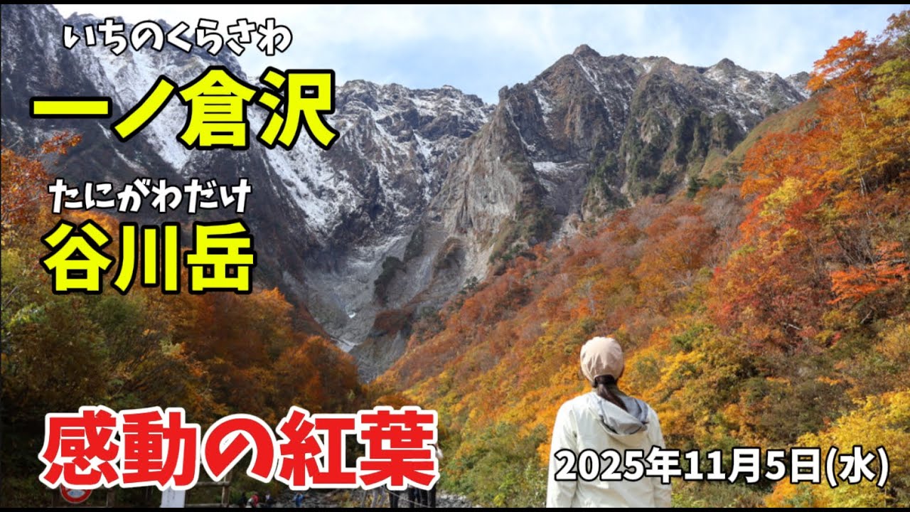 紅葉の一ノ倉沢 谷川岳 ハイキング 2025年11月5日(水)