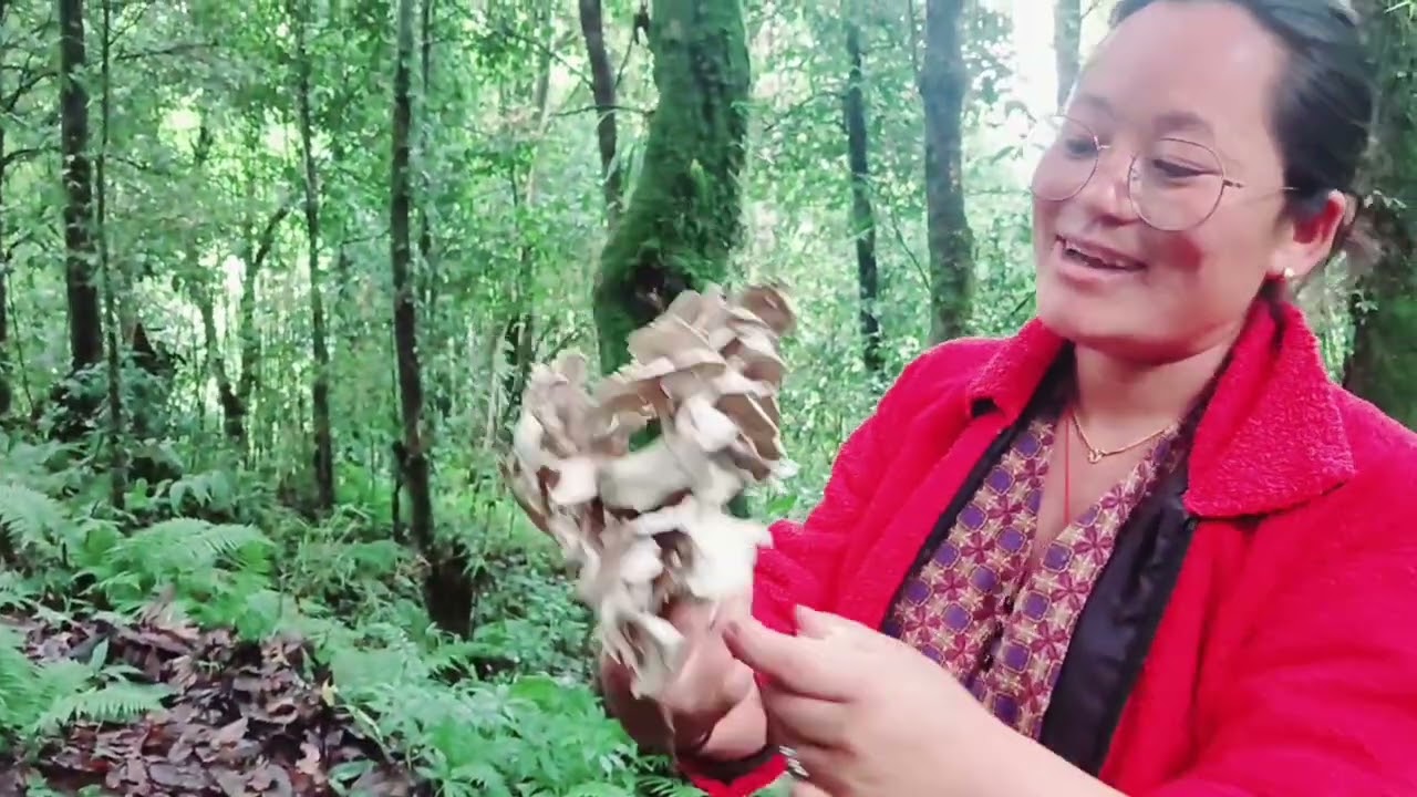 अस्ति छाेडिराखेकाे च्याउ टिप्नु जाँदै | फुङग्रे च्याउ | खराने च्याउ