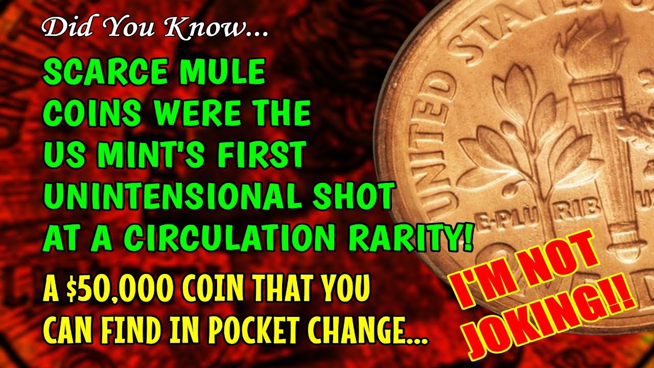 Rare $50,000 Mule Coin Error Is The 