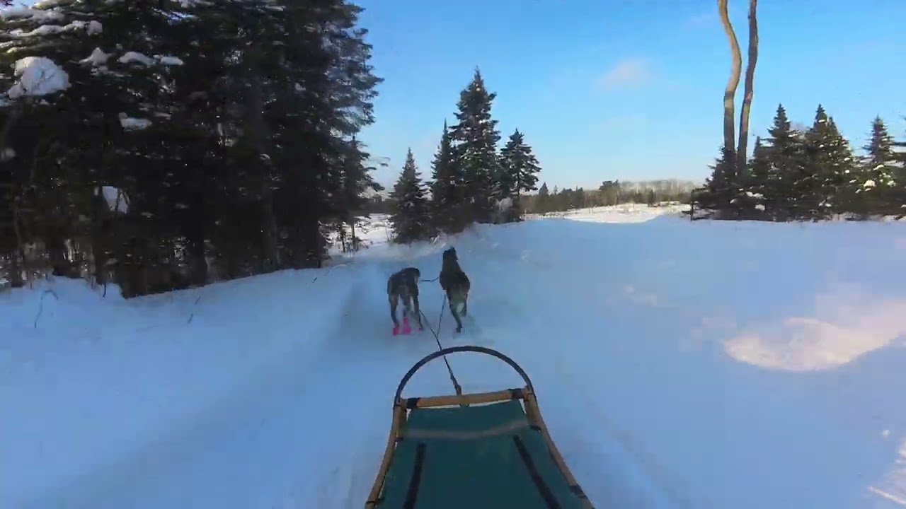 Kearney Dog Sled Races 2026 - 2 Dog Sled Open with Helix & Bobber 
