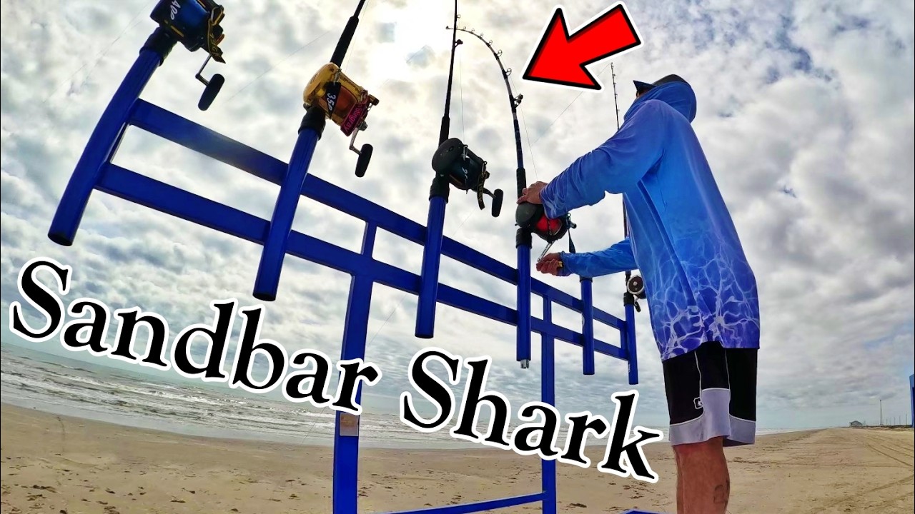 Dropped a Bait 8 Football Fields off the Beach to Catch this Fish !