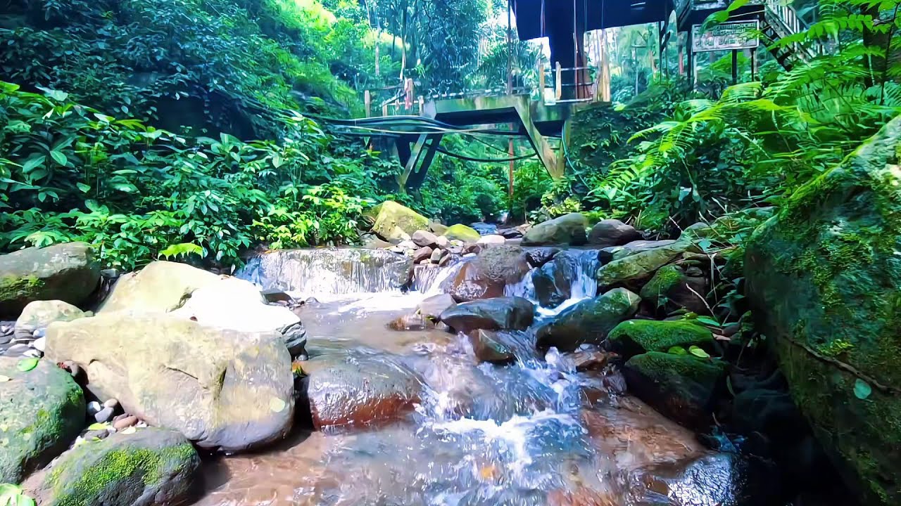 Forest River Ambience for Inner Peace