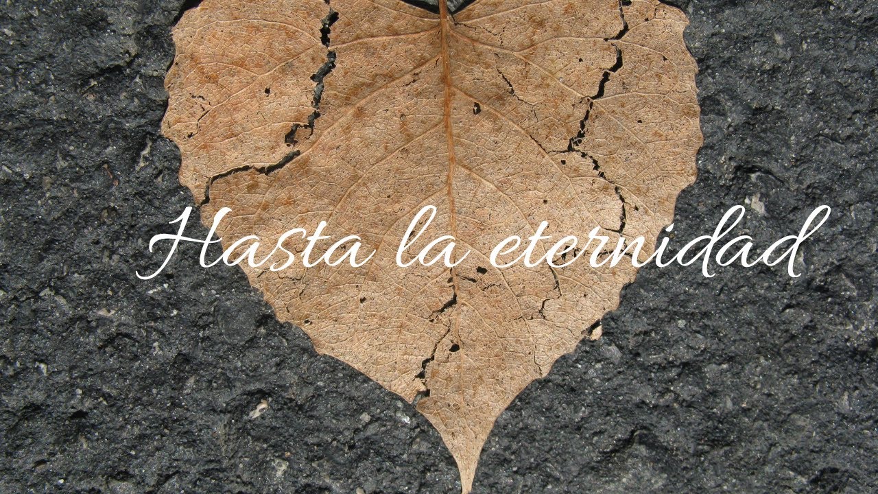 HASTA LA ETERNIDAD 2015 - THIN