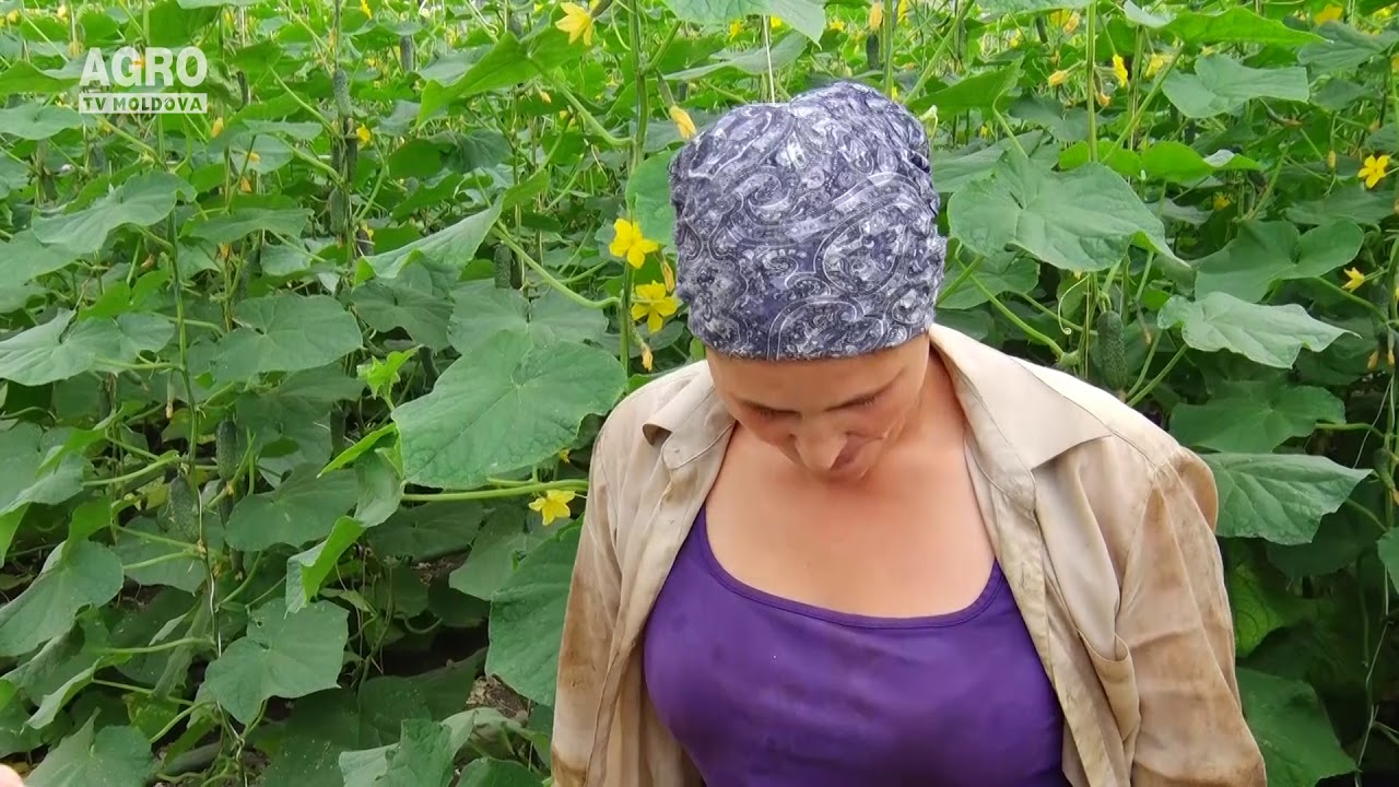 Regretă că a investit în agricultură