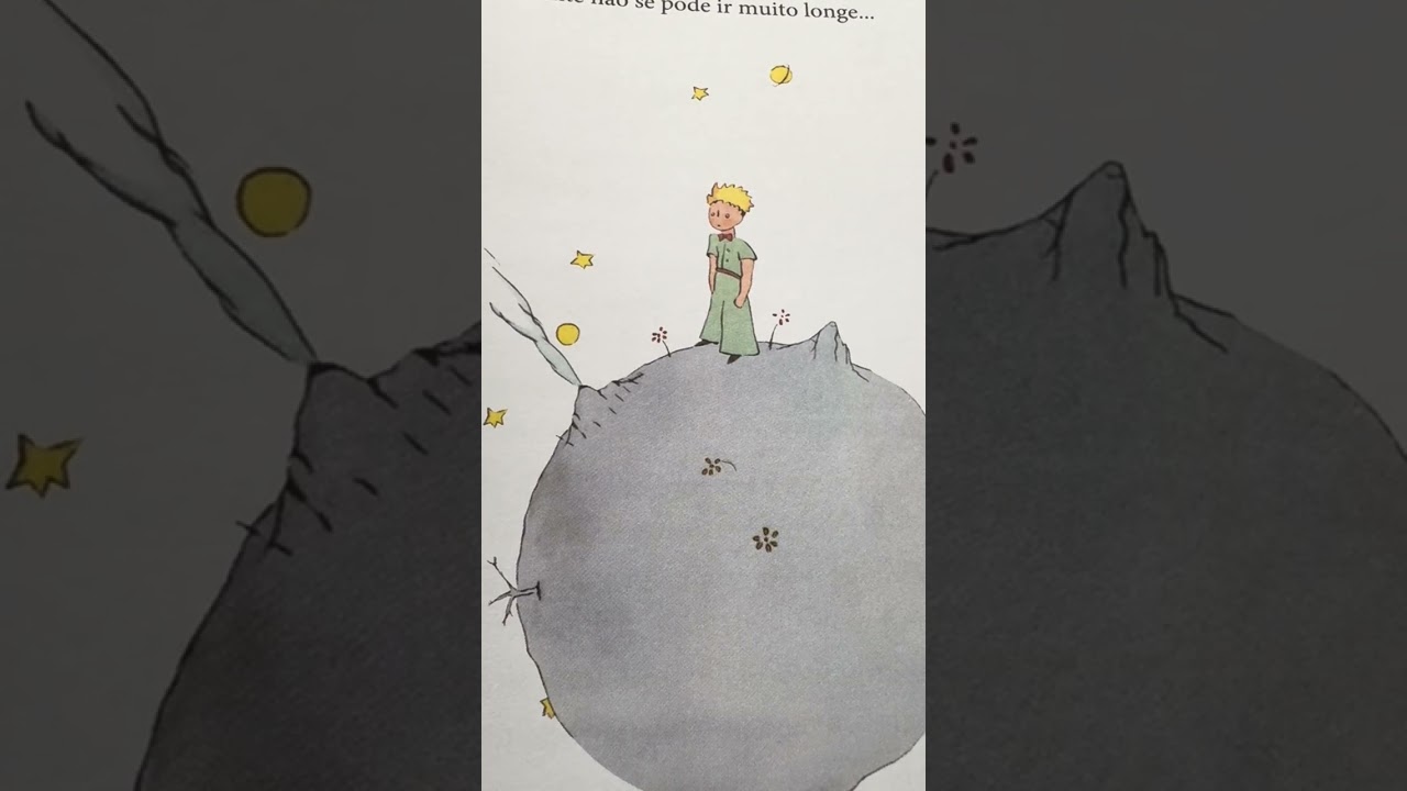 O Pequeno Principe - 4