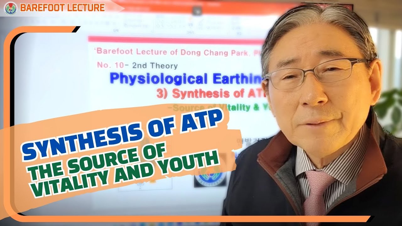 Barefoot Lecture 10: Synthesis of ATP, the source of vitality and youth