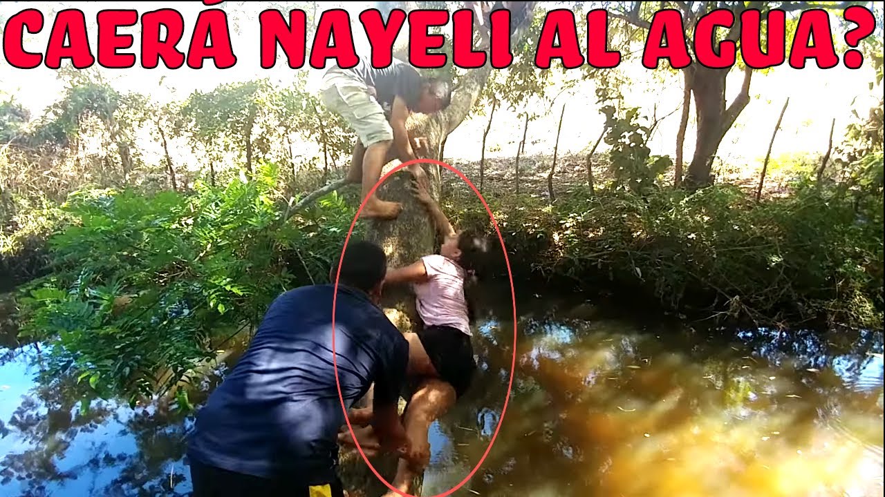 DIVERTIDO! Nayeli intenta escalar un arbol y mira lo que pasa🙊. Una novia para la cena. Parte 12