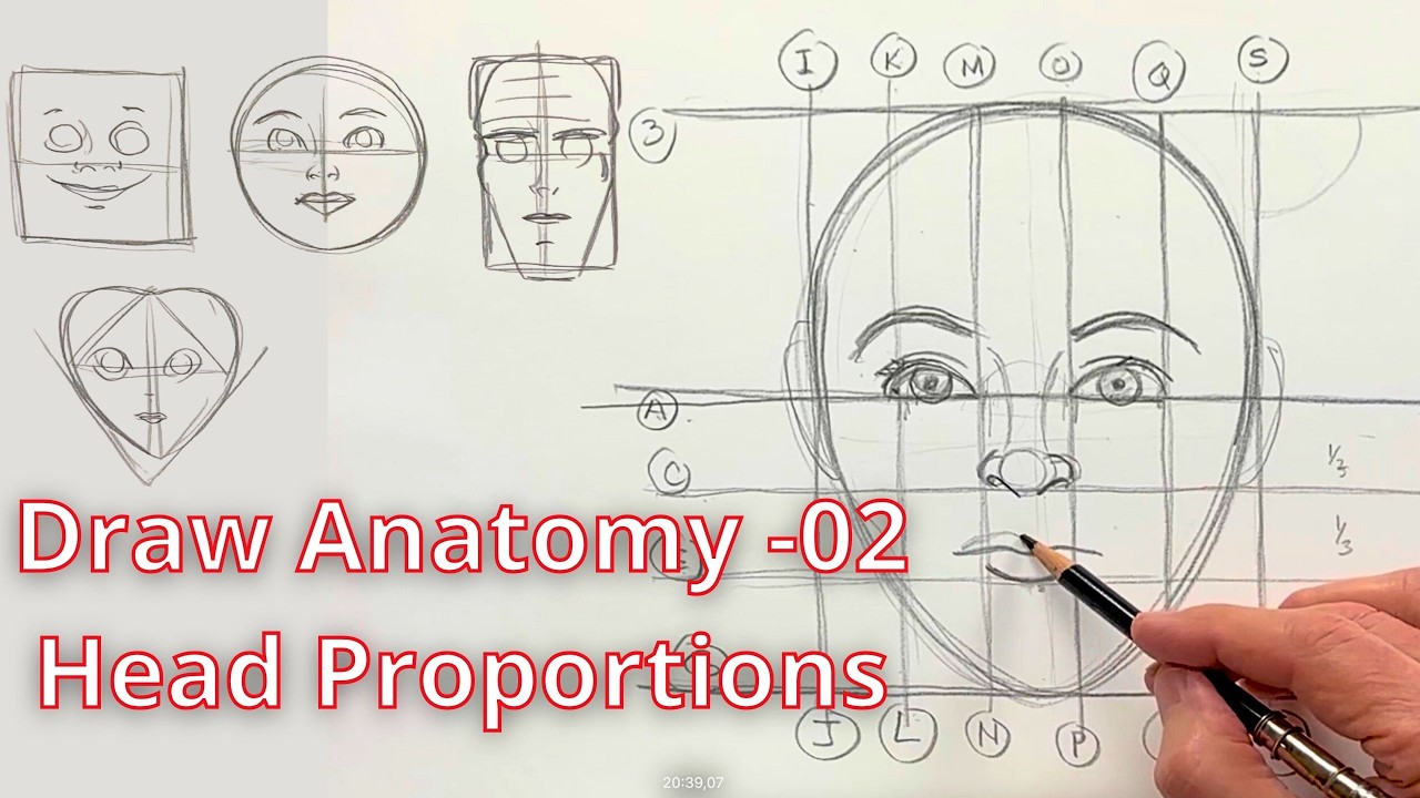Learn to Draw Anatomy - Head Proportions
