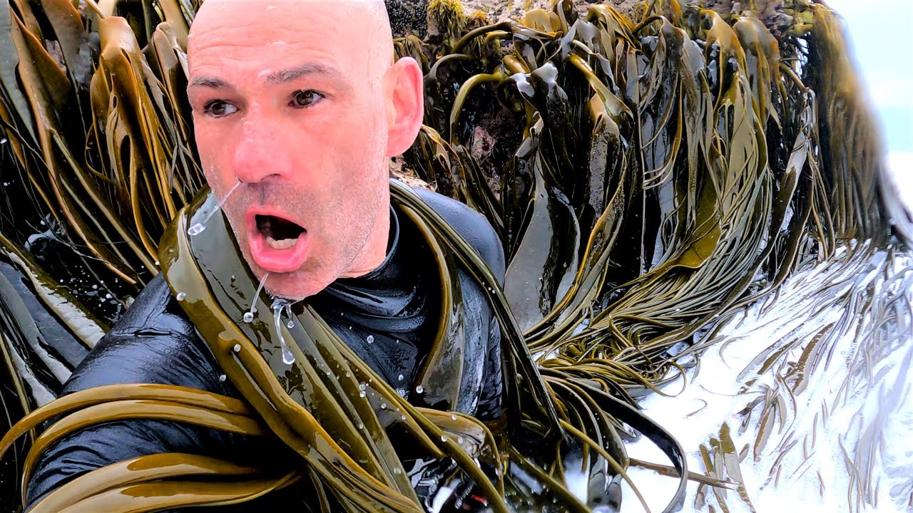 Surviving New Zealand's Forgotten Coast