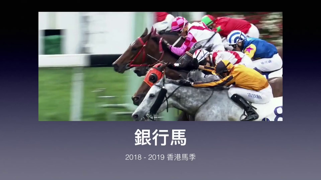 Hong Kong Horse Racing 香港賽馬  銀行馬2018 - 2019