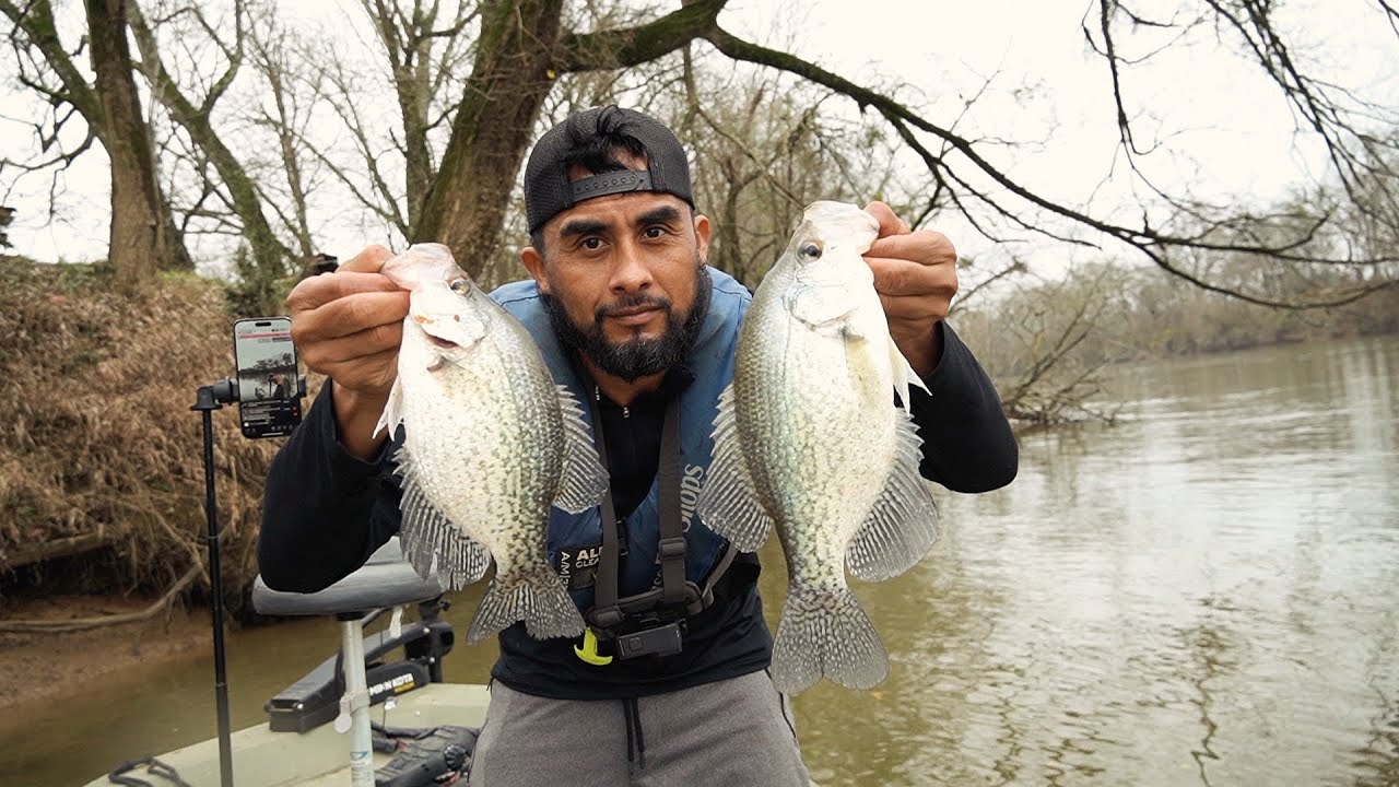 Pesca De Mojarras Y Lagarto De Río